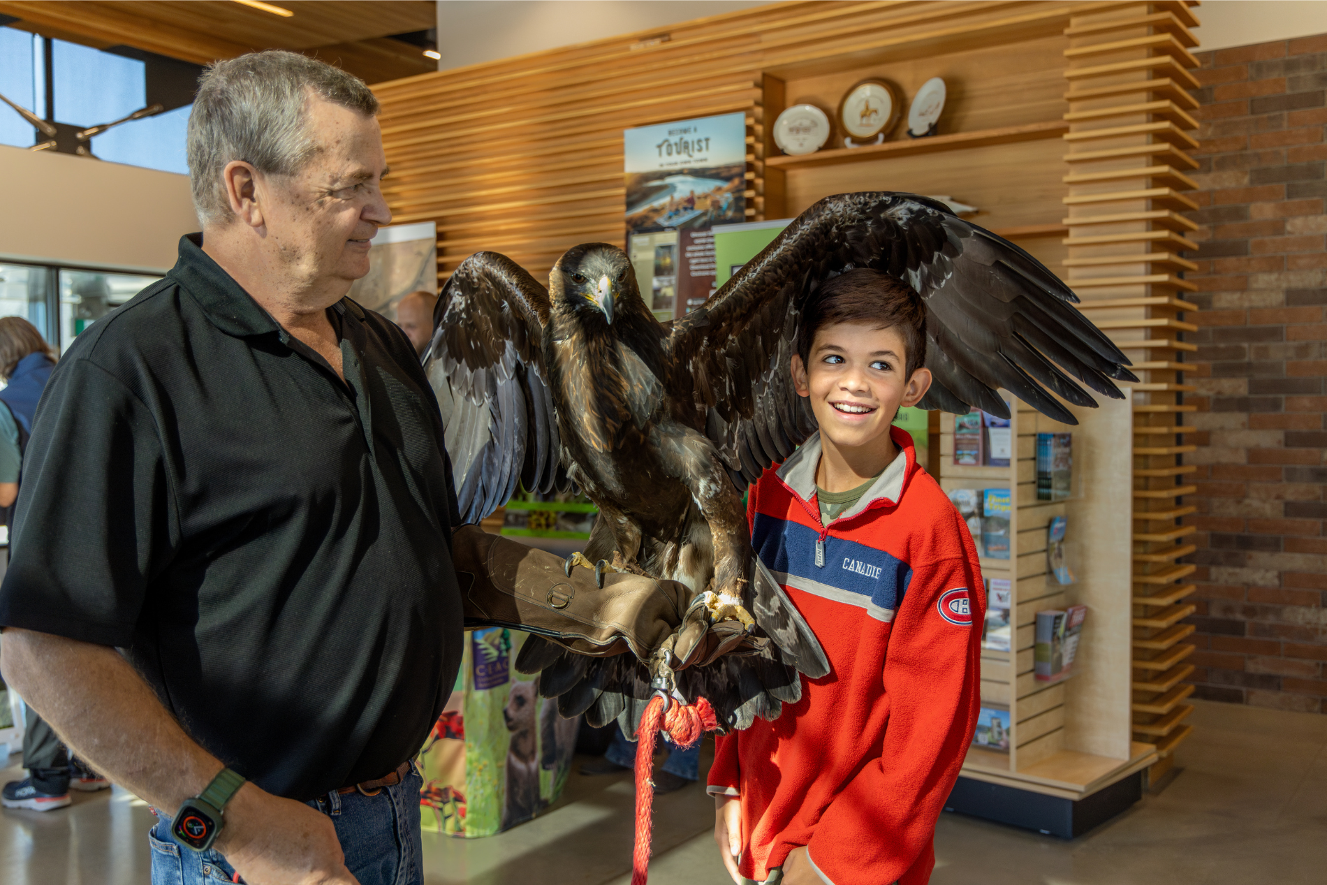 Bird of prey experience at Discovery Days. A boy meets a giant hawk.