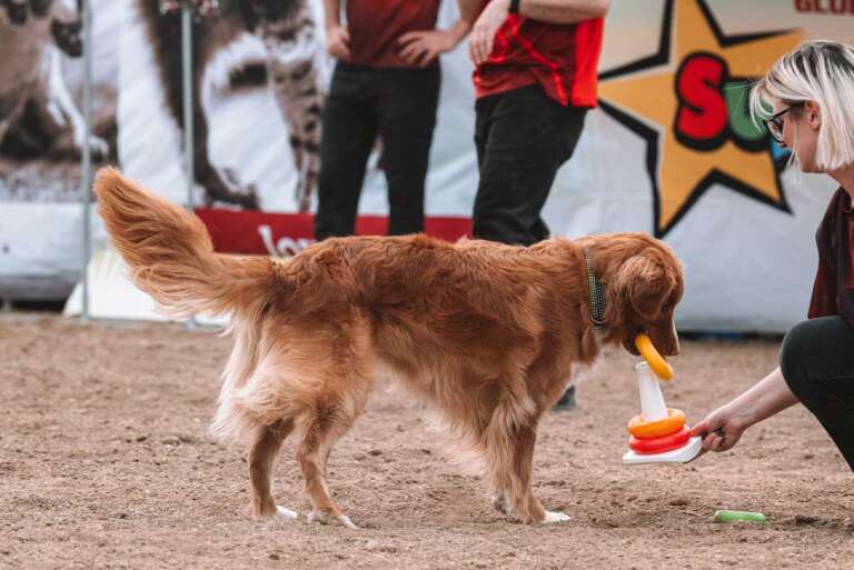 Cochrane Pet Expo