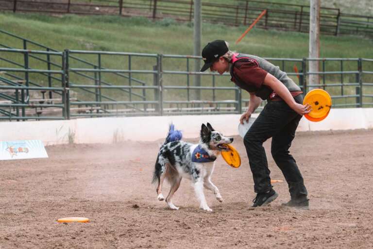 Cochrane Pet Expo
