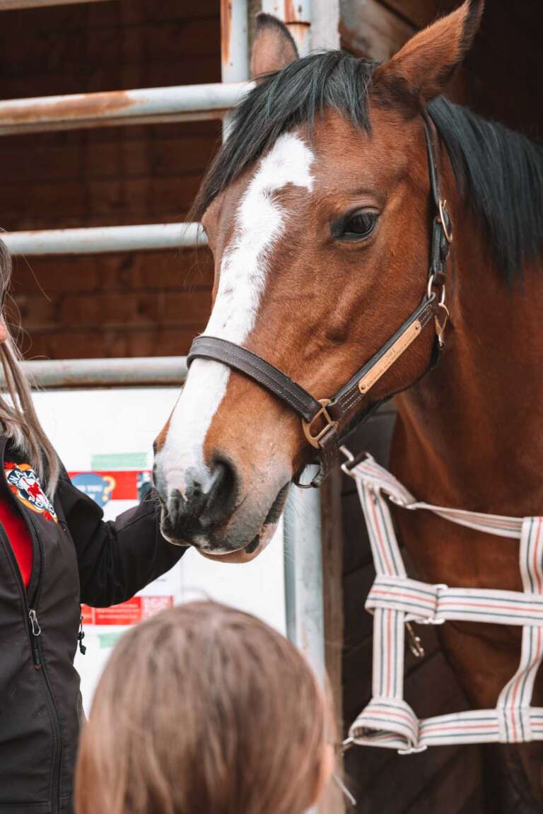 Cochrane Pet Expo